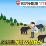 レス1番の画像15