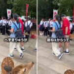 レス30番の画像2