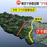 レス1番の画像13