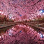 レス40番の画像4