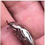 レス1番の画像3