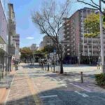 レス47番の画像1