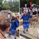 レス30番の画像1