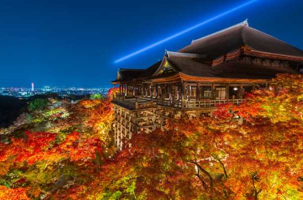 記事サムネイル