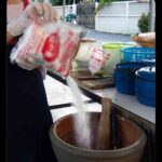 レス2番の画像1