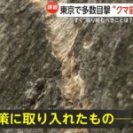 レス1番の画像8