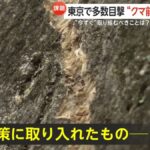 レス1番の画像7