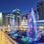 レス40番の画像6