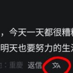 レス8番の画像1