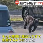 レス1番の画像11