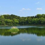 レス1番のリンク先のサムネイル画像