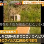 レス1番の画像4