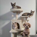 レス20番の画像1