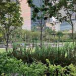 レス26番の画像5