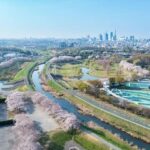 レス44番の画像12