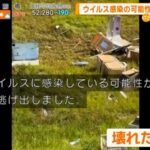 レス1番の画像1