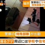 レス1番の画像4