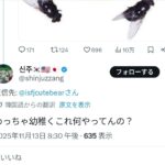 レス1番の画像4