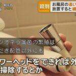 レス2番の画像2