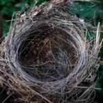 レス3番の画像1