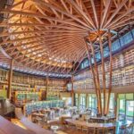 レス6番の画像2