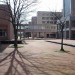 レス16番の画像1