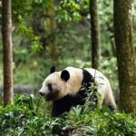 レス1番の画像4