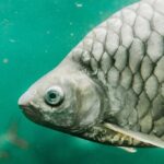 レス3番の画像1