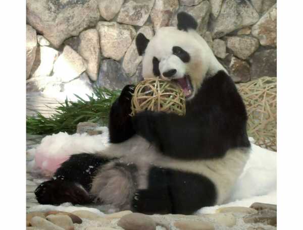 記事サムネイル