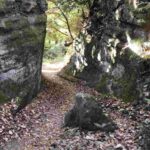 レス1番の画像3