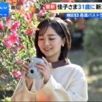 レス15番の画像1