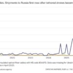 レス49番の画像1