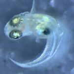 レス12番の画像2