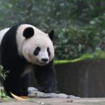 レス1番の画像5