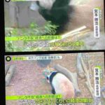 レス1番の画像4