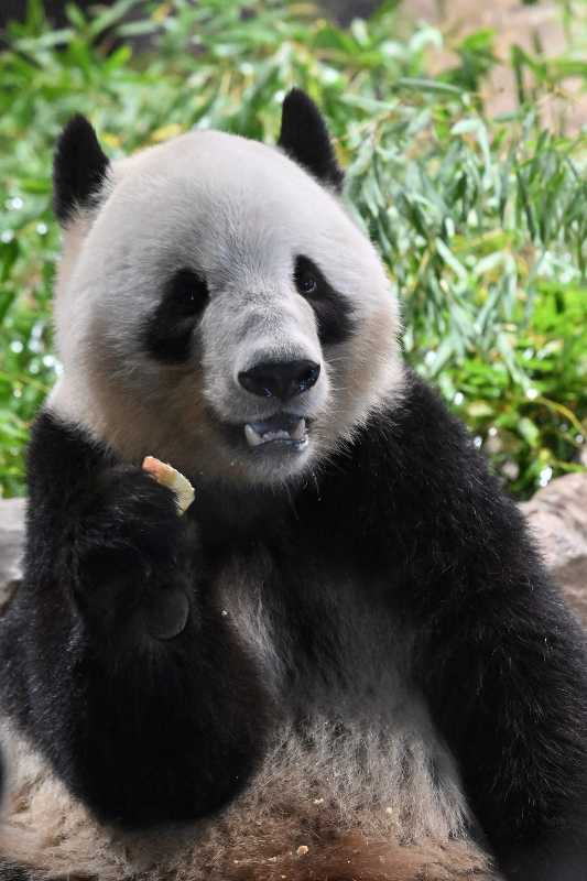 記事サムネイル