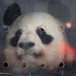 レス4番のリンク先のサムネイル画像