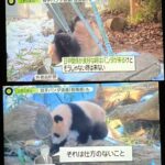 レス1番の画像3