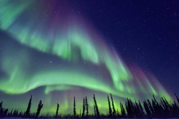 記事サムネイル