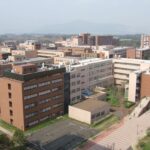 レス23番の画像1