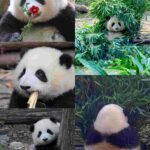 レス1番の画像3