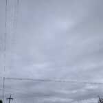 レス5番の画像5