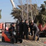 レス2番の画像2