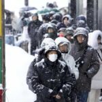 レス12番のリンク先のサムネイル画像