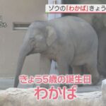 レス1番のリンク先のサムネイル画像