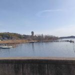 レス14番の画像1