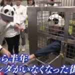 レス28番の画像1