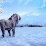 レス1番のリンク先のサムネイル画像