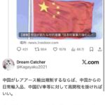 レス1番の画像12