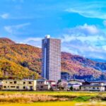 レス55番の画像1